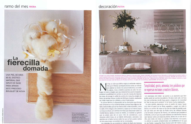 articulo novias